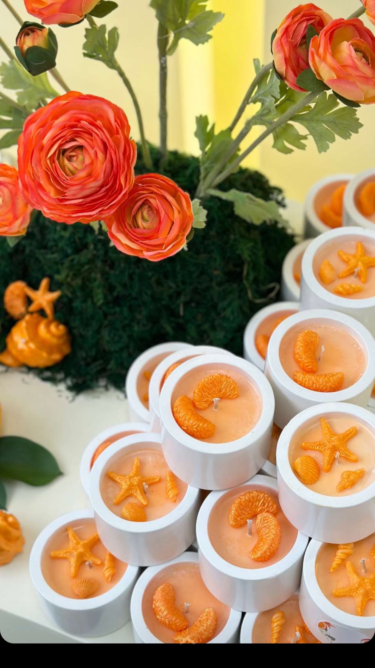 Citrus and Sea theme Custom giveaway 25 pcs