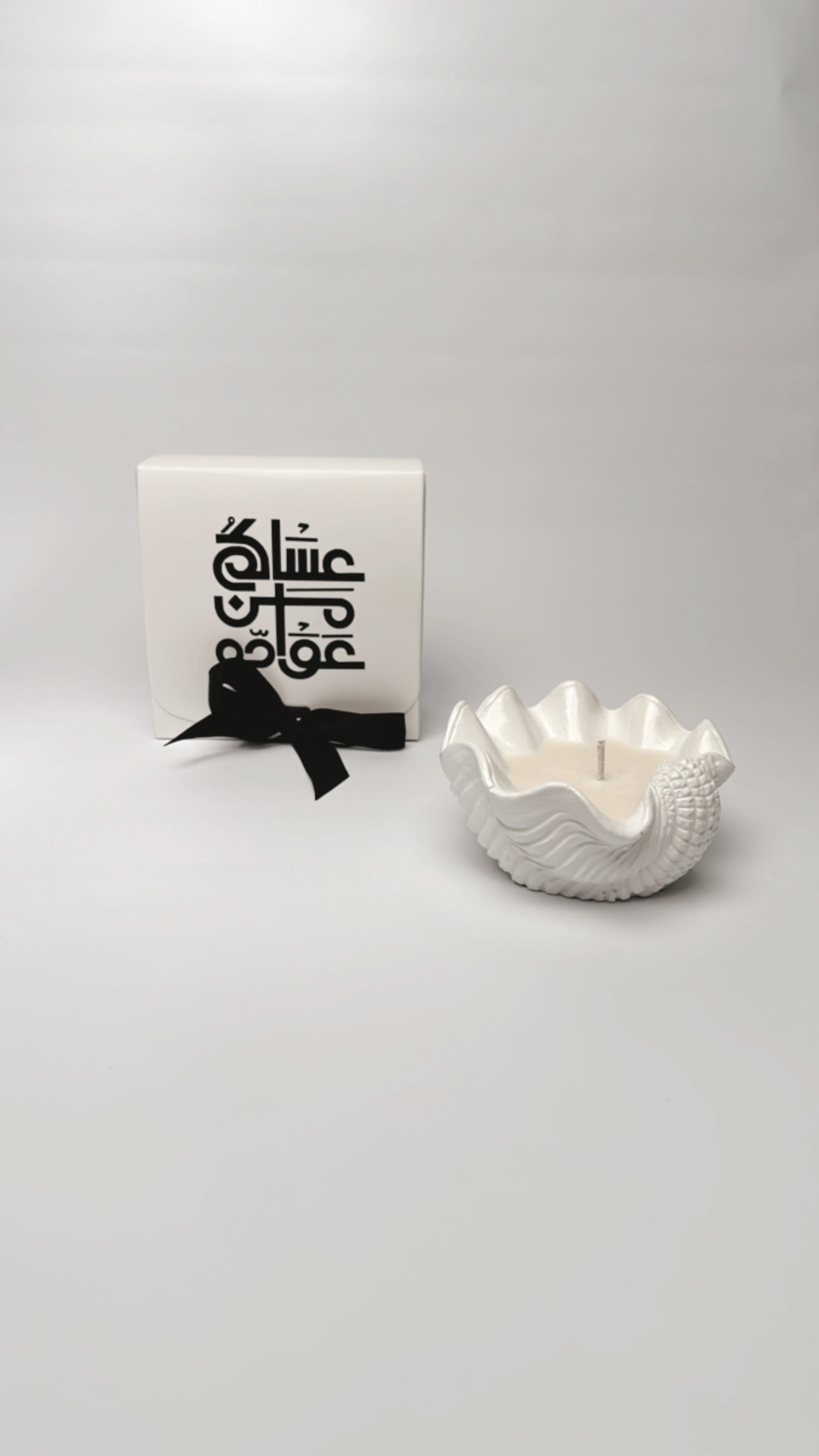 Sea Shell Candle ( Medium size) ( Premium Valley whisper Fragrance ) with brand box