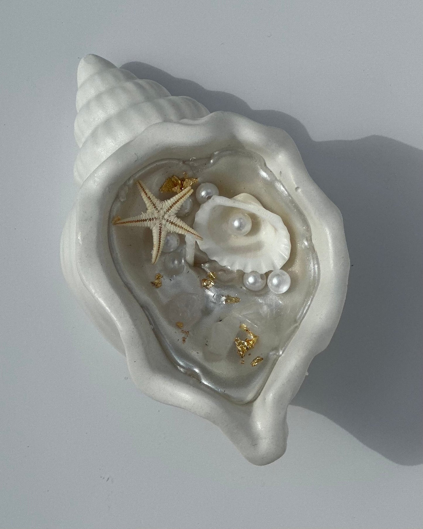 Shimmery Seashell Candles Giveaway: Customizable Set of 15